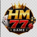 HM77 Game App
