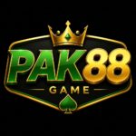 Pak88 Game App